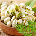 Wholesale Agriculture Products High Quality Pistachio Nuts